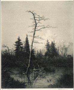 Abend von George Elbert Burr