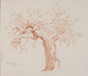 Fiesole von George Elbert Burr