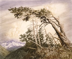Heimat der Winde [Nr. 2] von George Elbert Burr