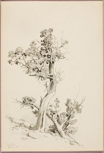 Manitou von George Elbert Burr