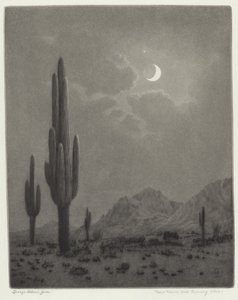 Neumond und Abendstern von George Elbert Burr