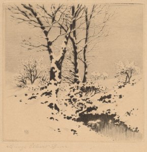 Schnee von George Elbert Burr