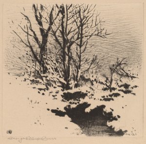 Der erste Schnee (Nr. 2) von George Elbert Burr