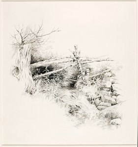 Ohne Titel (Waldstrom)