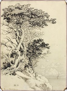 Ohne Titel (Zeichnung für Druck) von George Elbert Burr