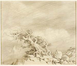 Ohne Titel (Transferzeichnung für Sturm nahe der Baumgrenze) von George Elbert Burr