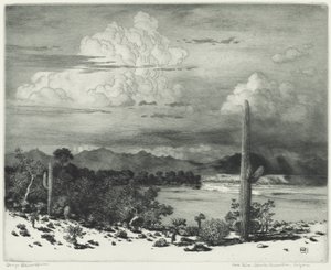 Verde River, Apache-Reservat, Arizona von George Elbert Burr