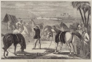 Der arabische Pferdehändler von George Francklin Atkinson