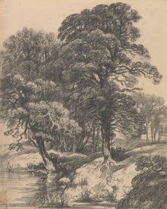 Waldlandschaft mit Teich