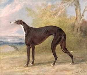 Einer von George Lane Fox