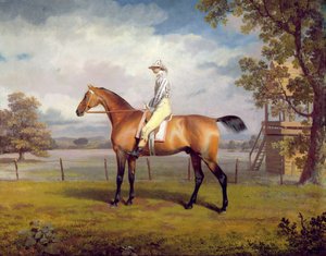 Die Verkleidung des Herzogs von Hamilton mit Jockey von George Garrard