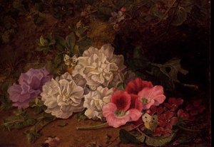 Stillleben mit Schmetterlingen von George Goodman