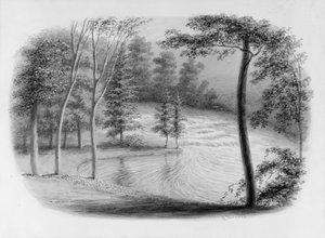 Ein Bach aus dem Hosack-Album von George Harvey