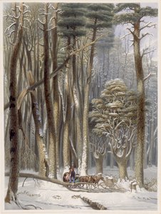 Winter, Behinderte Reisende in einem Kiefernwald, aus Harveys Scenes of the Primitive Forest of America, 1841