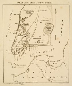 Plan der Stadt New York, der das angelegte und sumpfige Land zeigt, 1856