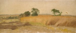 Studie eines Kornfeldes von George Heming Mason