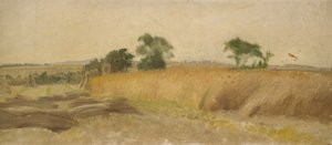 Studie eines Kornfeldes von George Hemming Mason