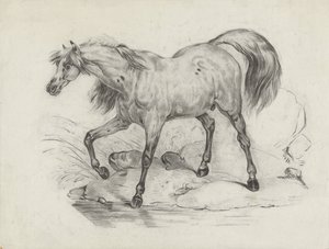 Stehendes Pferd, nach links von George Hendrik Breitner