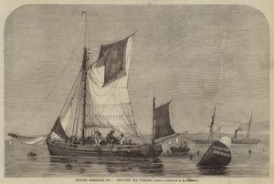 Britische Fischereien, Nr. 7, Whelks fangen von George Henry Andrews