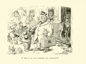 M Rhino machte einen sensationellen Auftritt in Acclimatationville von George Henry Thompson