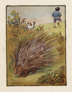 Das Stachelschwein von George Henry Thompson