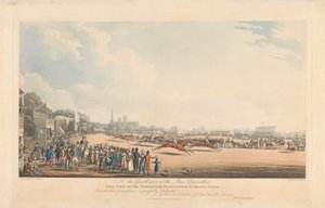 Ansicht der Worcester-Rennbahn und Tribüne von George Hunt