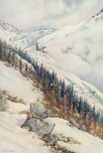 Der Gletscher von Argentiere im Winter