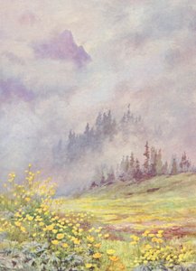 Trollius europaeus, die Kugelblume, auf den wolkenverhangenen Feldern Anfang Juni (Farblithographie) von George Jackson Flemwell