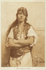 Der Sklave des Paschas von George L. Seymour