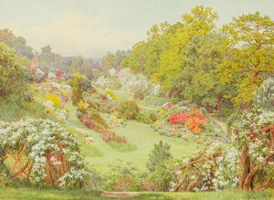 Frühlingsblüten von George Marks