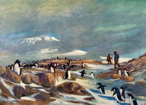 Rückkehr der Pinguine