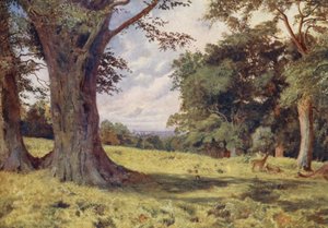 Eine Lichtung im Windsor Great Park von George Moore Henton