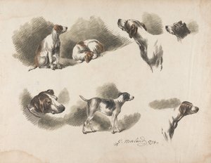 [Tiere] Sieben Studien eines Jagdhundes auf einem Blatt. „Jno. Harris“ auf dem Halsband des Jagdhundes unten links von George Morland