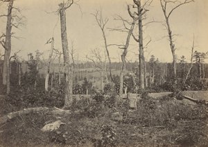 Schlachtfeld von Resaca, Georgia, Nr. 3, 1864