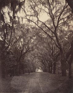 Bonaventure-Friedhof, vier Meilen von Savannah entfernt, 1866