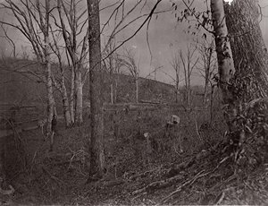 Bull Run, Virginia von George N. Barnard