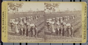 Rückkehr von den Baumwollfeldern in South Carolina von George N. Barnard