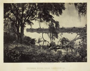 Savannah River, nahe Savannah, GA von George N. Barnard
