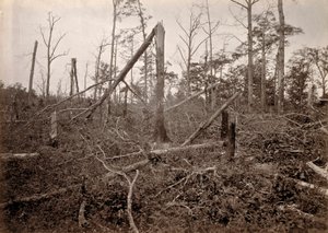 Die "Höllenloch", New Hope Church, Georgia, aus Fotografische Ansichten von Shermans Feldzug, Platte 27 von George N. Barnard