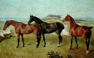 Drei Pferde: Whissendine, Swallow und Tiptop von George Paice