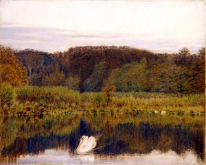 Abinger Mill Pond, Surrey - Morgen im Spätherbst von George Price Boyce