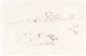 Studien von Schafen auf der Weide von George Richmond