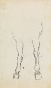 Studie der Hufe eines Pferdes von George Romney