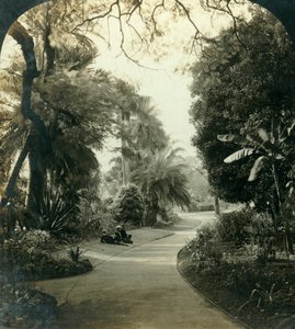 Weg im Queens Park, Brisbane, Australien, ca. 1909