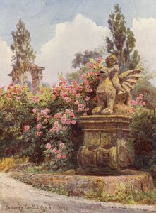 Italienische Gärten: China-Rosen, Villa Imperiali von George Samuel Elgood