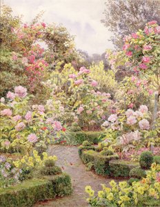 Raundscliffe - Überall sind Rosen