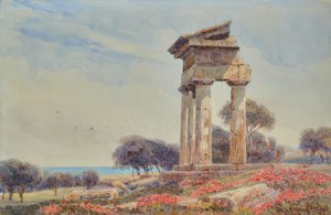 Tempel von Castor und Pollux, Gorgenti von George Samuel Elgood