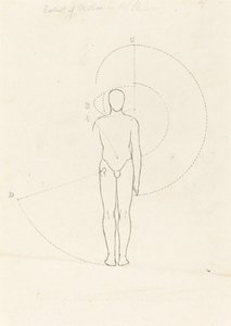Bewegungsumfang, eine Figur