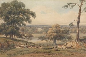 Eine entfernte Ansicht von Ampthill Park