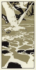 Vom Strand kam eine große weiße Möwe von George Sheringham